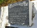 
Donald George GROUNDWATER,
husband of Janie,
father of Donald, Linda, Daniel, Leslie, James,
Michael, Douglas, Thomas & Mary,
grandfather of Michael, Jasmine & Tinny,
born 31 March 1932,
died 19 June 1989;
Tiaro cemetery, Fraser Coast Region
