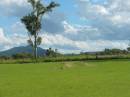 
Tiaro cemetery, Fraser Coast Region
