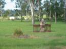 
Tiaro cemetery, Fraser Coast Region
