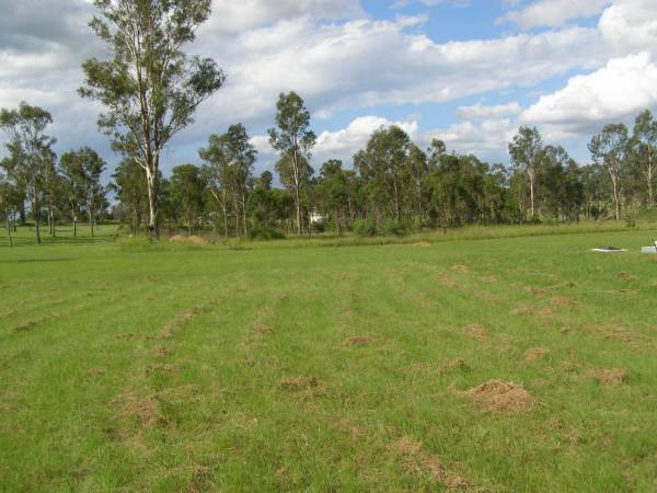 Tiaro cemetery, Fraser Coast Region  | 