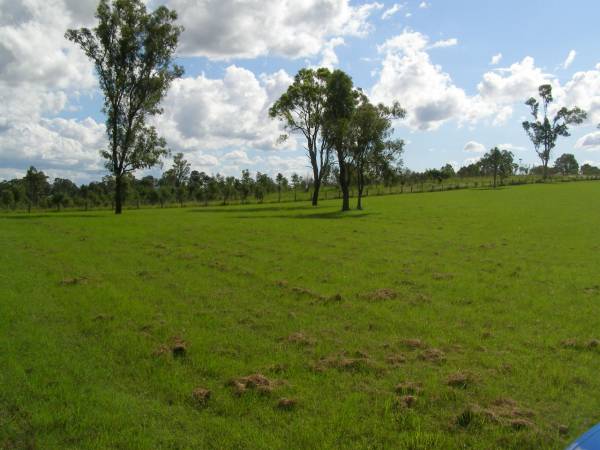 Tiaro cemetery, Fraser Coast Region  | 