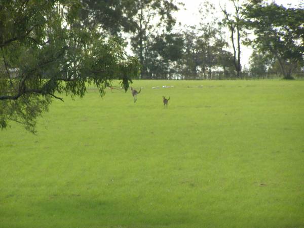 Tiaro cemetery, Fraser Coast Region  | 