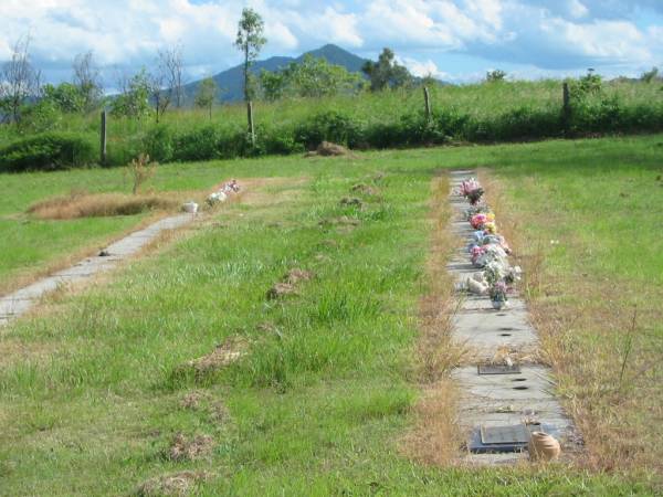 Tiaro cemetery, Fraser Coast Region  | 