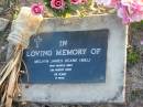 
Melvyn James DEANE (Mel),
died 21 Aug 2002 aged 68 years;
Toogoolawah Cemetery, Esk shire
