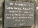 
Dion Noel SIGANTO,
only child of Jesse & Muriel SIGANTO (decd),
died 23 Oct 1987 aged 43 years;
Upper Coomera cemetery, City of Gold Coast
