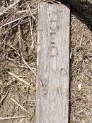 
[best guess]
died 10 Dec 1915 aged 1 year 3 months;
Upper Freestone Cemetery, Warwick Shire
