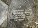 
Wilhelm PIEPER
geb 27 Jan 1824
gest 1 Dec 1896
Vernor German Baptist Cemetery, Esk Shire 
