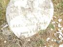 
Alec John CHASE,
aged 3 years;
Warra cemetery, Wambo Shire
