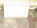 
Alan George POPE,
son brother,
died 19 March 1928;
Warra cemetery, Wambo Shire
