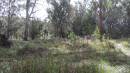 
Willsons Downfall cemetery,Tenterfield, NSW
