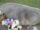 
Lorraine, granma,
23-1-42 - 13-9-96;
Woodford Cemetery, Caboolture
