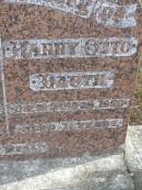 
Emily Rose DAUTH
25 Oct 1966, aged 75
Harry Otto Dauth
5 Feb 1960, aged 71
Woodhill cemetery (Veresdale), Beaudesert shire

