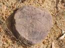 
T??t?ary
        ?????
13.10
???
Woodhill cemetery (Veresdale), Beaudesert shire

