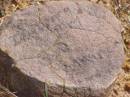 
T??t?ary
        ?????
13.10
???
Woodhill cemetery (Veresdale), Beaudesert shire

