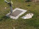 
Kaylene Mary WILSON
b: 11 Jun 1960, d: 18 Jul 2002
(husband: Andy, mother of Jack, Riley)

Woodhill cemetery (Veresdale), Beaudesert shire

