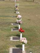 
Woodhill cemetery (Veresdale), Beaudesert shire

