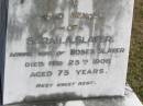 
Moses Slater
(husband of S A Slater)
20 Oct 1901, aged 73
Sarah A Slater
(wife of Moses Slater)
25 Feb 1906, aged 75
Joseph
(son of Moses and Sarah A Slater)
17 Nov 1889, aged 23
Woodhill cemetery (Veresdale), Beaudesert shire

