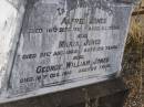 
Alfred JONES,
died 16 Sept 1911 aged 62 years;
Maria JONES,
died 31 Aug 1925 aged 72 years;
George William JONES,
died 16 Dec 1910 aged 23 years;
father & brother;
Yangan Anglican Cemetery, Warwick Shire
