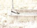 
George Robert MARSH,
died 23 June 1954 aged 72 years;
Lilian Maud MARSH,
wife,
died 25 Feb 1953 aged 68 years;
Yangan Anglican Cemetery, Warwick Shire
