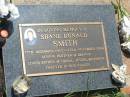 
Shane Donald SMITH,
17 Dec 1963 - 23 Nov 2004,
partner of Deanne,
father of Shara, Justin & Matthew;
Yarraman cemetery, Toowoomba Regional Council
