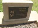 
Haidee Mabel CALLAGHAN,
died 16 July 1997 aged 87 years,
wife of George,
mother of Susan & David;
Yarraman cemetery, Toowoomba Regional Council
